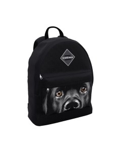 Школьный рюкзак Erich Krause EasyLine 17L Black Dog / 60324 Erich krause