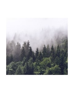 Фотообои листовые ФабрикаФресок Туманный лес / 193280 Фабрикафресок