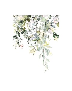 Фотообои листовые ФабрикаФресок Зеленый гербарий / 702270 Фабрикафресок