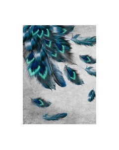 Фотообои листовые ФабрикаФресок Стильные перья павлина / 782270 Фабрикафресок