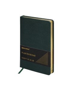 Ежедневник Brauberg Iguana / 114457