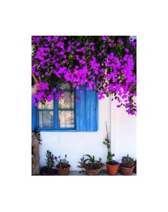 Картина Stamion Испания