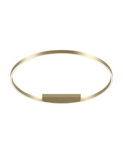 Потолочный светильник Maytoni Rim MOD058CL-L65BS3K