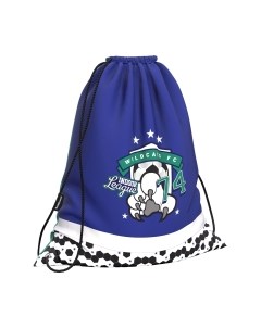 Мешок для обуви Erich Krause Mega Goal / 56747 Erich krause