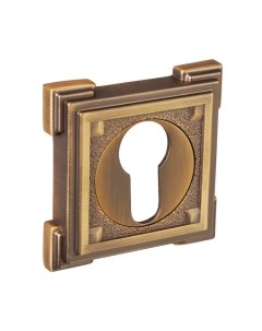 Накладка на цилиндр Ренц INET 19 CF