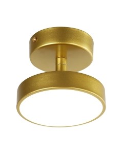 Потолочный светильник FAVOURITE 3059-1P Favourite