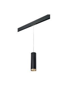 Трековый светильник Lightstar Rullo PRORP649790