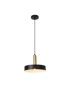 Потолочный светильник ESCADA 1110/1S Escada