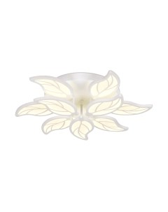 Потолочный светильник Ambrella FA460/6+3 WH