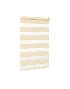 Рулонная штора Delfa Сантайм День-Ночь Масо МКД DN-41603