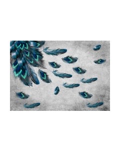 Фотообои листовые Vimala Перья павлина