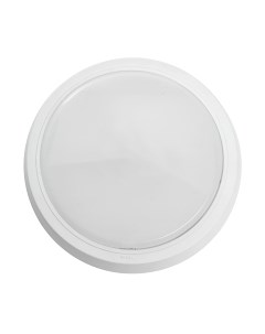 Светильник ЖКХ Feron AL3020 / 41768