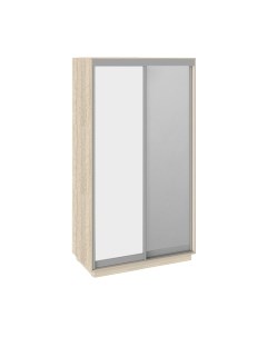 Шкаф-купе Румер СШК 1.120.60-11.13 2-х дверный Трия