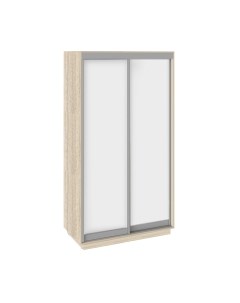 Шкаф-купе Румер СШК 1.120.60-11.11 2-х дверный Трия
