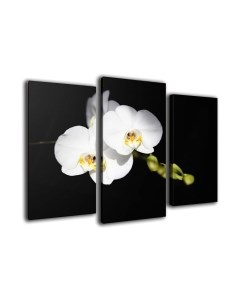 Картина модульная Arthata m-000301