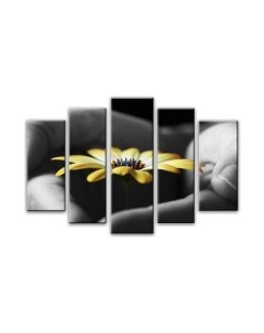 Картина модульная Arthata 5m-355