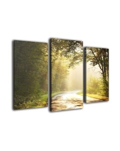 Картина модульная Arthata m-000159