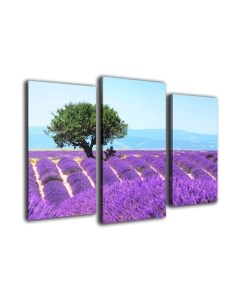 Картина модульная Arthata m-000197