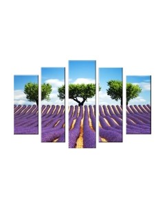 Картина модульная Arthata 5m-101
