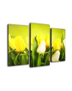 Картина модульная Arthata m-000586