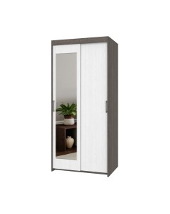 Шкаф-купе Томас Т22 Modern