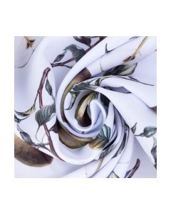 Шторы Груши 5513584 Этель