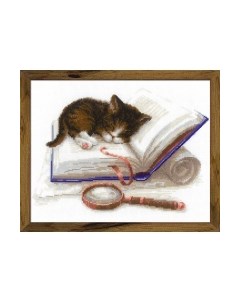 Набор для вышивания Котенок на книжке / 1725 Риолис