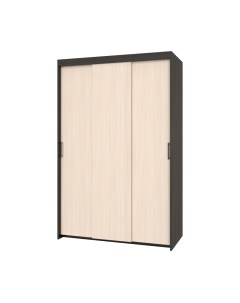 Шкаф-купе Томас Т31 Modern