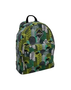 Школьный рюкзак Erich Krause EasyLine 17L Siberia / 51773 Erich krause