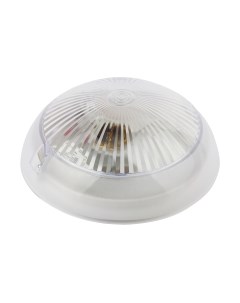 Светильник ЖКХ ЭРА Сириус НБП 06-60-101 / Б0048411 Эра