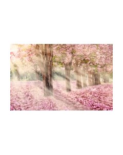 Фотообои листовые Citydecor Сказочная природа 5