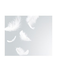 Фотообои листовые Citydecor Перышки