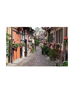 Фотообои листовые Citydecor Эльзас