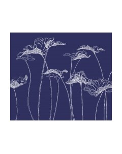 Фотообои листовые Citydecor Perfect Lines 5