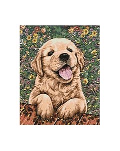 Набор алмазной вышивки Веселый Динго / WD312 Wizardi