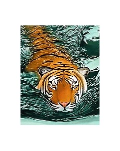 Набор алмазной вышивки Тигровые воды / WD2413 Wizardi
