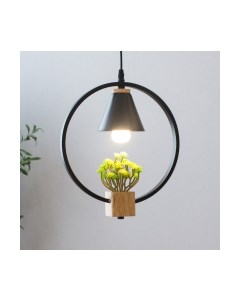 Потолочный светильник Home Light Астерия A042-2-В Home light