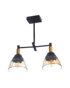 Потолочный светильник Aitin-Pro C1313/2 Aitin-pro