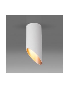 Точечный светильник Elektrostandard DLN114 GU10