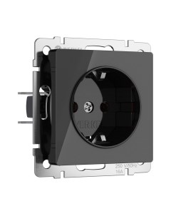 Розетка Werkel W1171148