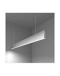 Потолочный светильник Elektrostandard 101-200-30-103 20W 6500K