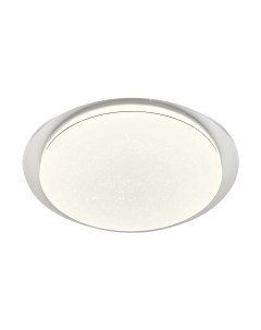 Потолочный светильник Ambrella FZ1048