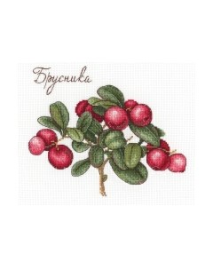 Набор для вышивания Дары природы. Брусника / НВ-650М М.п.студия