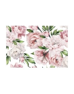 Фотообои листовые Vimala Настенные цветы 18