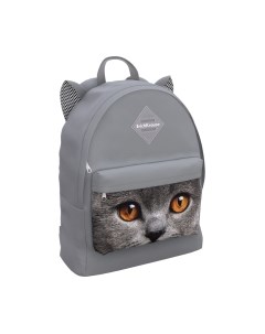 Рюкзак Erich Krause EasyLine Animals 17L Grey Cat / 57279 Erich krause