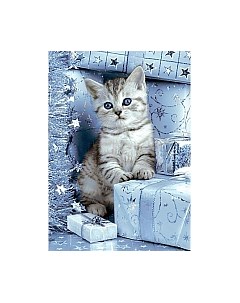 Набор алмазной вышивки Котенок и подарки / WD2417 Wizardi