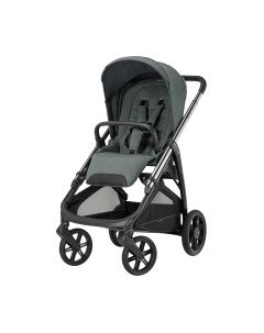 Детская прогулочная коляска Inglesina Aptica New / AG60Q0EMG