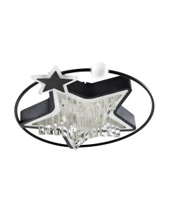 Потолочный светильник LED4U L8025-450 BK Led4u