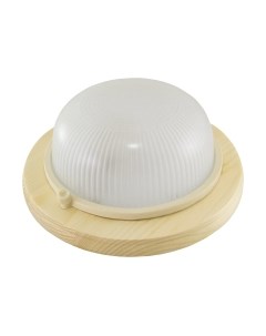 Светильник ЖКХ TDM SQ0303-0424 Tdm