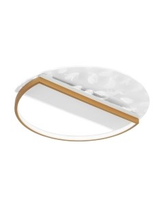 Потолочный светильник LED4U L1043-500 GD Led4u